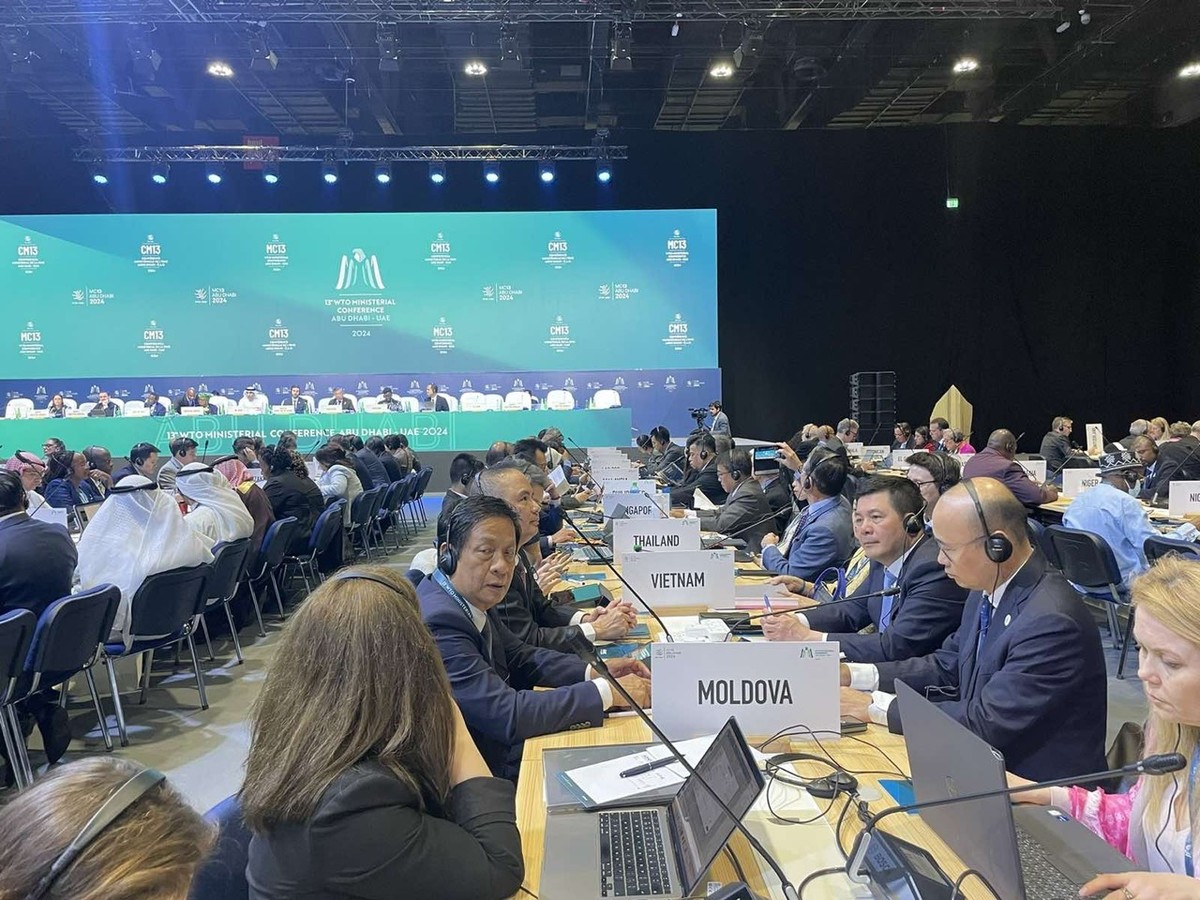 Đoàn Việt Nam dự phiên thảo luận cấp Bộ trưởng về Thương mại và Phát triển bền vững (bao gồm thương mại và chính sách công nghiệp, không gian cho chính sách thúc đẩy phát triển công nghiệp)