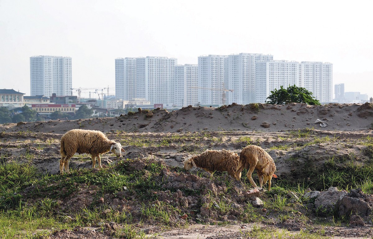 Hàng trăm dự án trên cả nước không thể triển khai do vướng định giá đất. Ảnh: Dũng Minh
