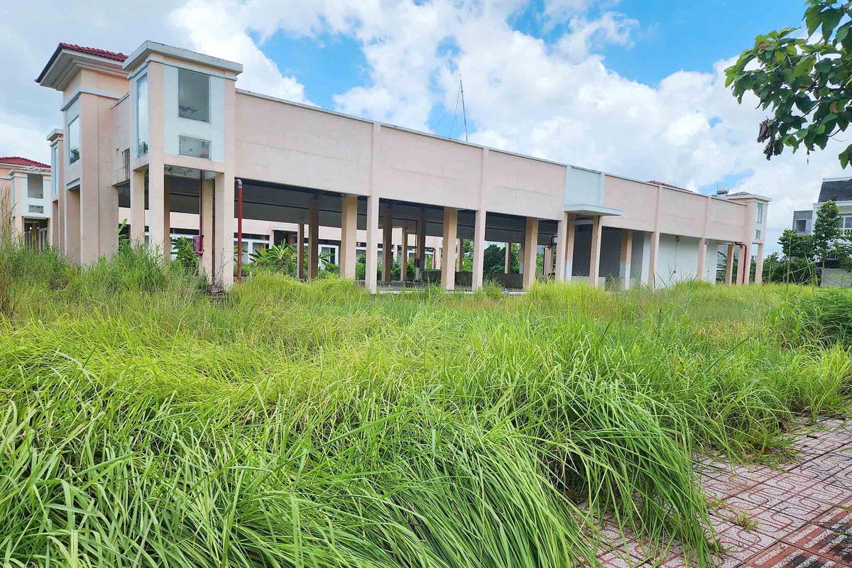 Đặc biệt nhất là công trình chợ Bến Cát 2 nằm bên trong dự án, dù đã xây dựng xong nhưng cũng bỏ không, xung quanh cỏ mọc um tùm.