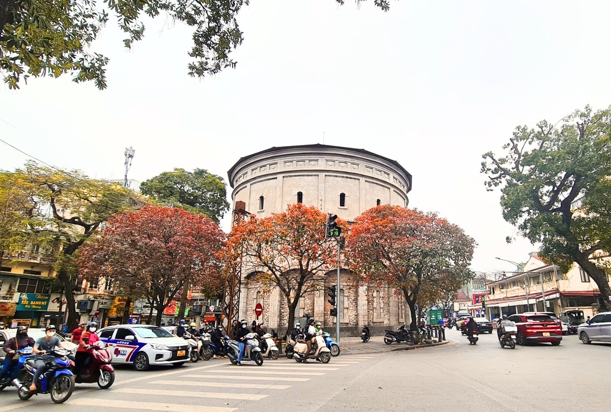 Sắc đỏ, vàng trên cây nổi bật trên nền tường bốt Hàng Đậu.