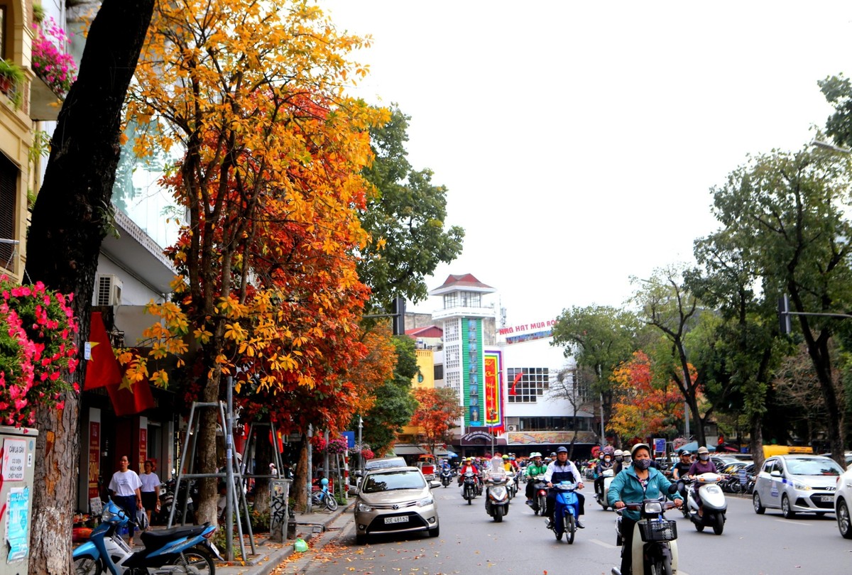 Trên khắp các nẻo đường, góc phố, cảnh vật bỗng trở nên lung linh, lộng lẫy, thơ mộng.