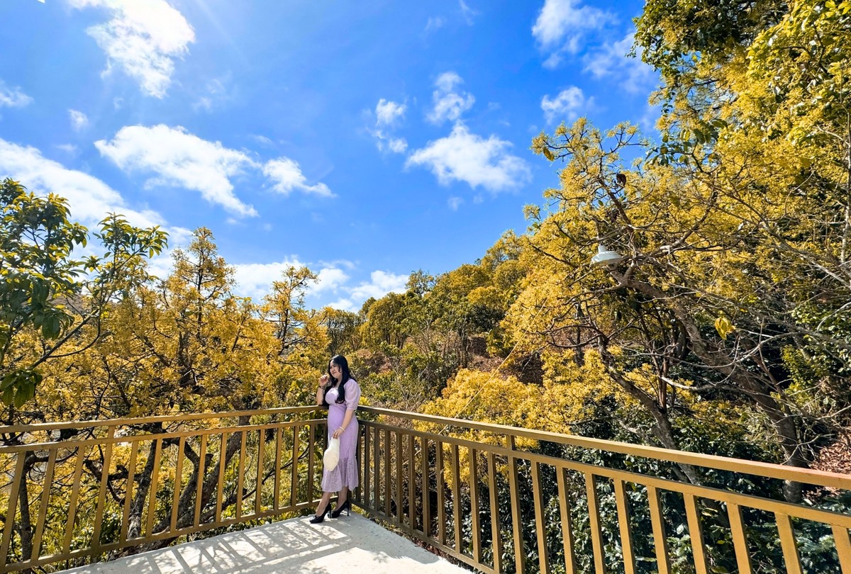 Để có những bức ảnh đẹp, du khách có thể tới đây check-in vào buổi sáng sớm, nắng nhẹ.