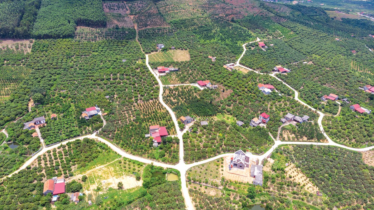 Giá đất nền cũng bắt đầu tăng trở lại ở một số địa phương