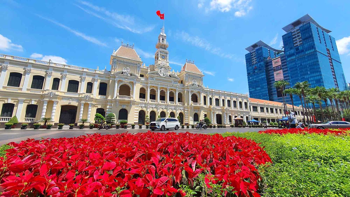 Thảm hoa rực rỡ phía trước UBND.TPHCM.