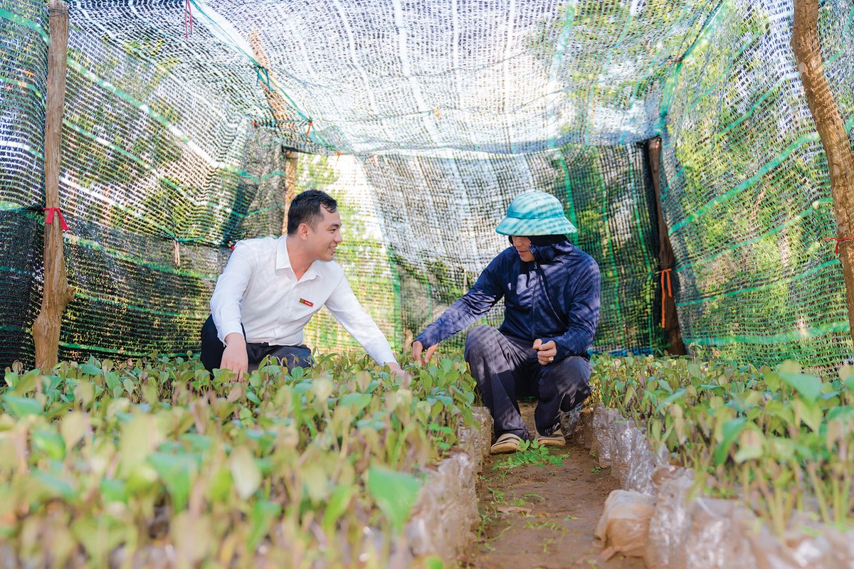 Nhân viên Ngân hàng Agribank tìm hiểu nhu cầu vốn của người trồng rừng Nhân viên Ngân hàng Agribank tìm hiểu nhu cầu vốn của người trồng rừng
