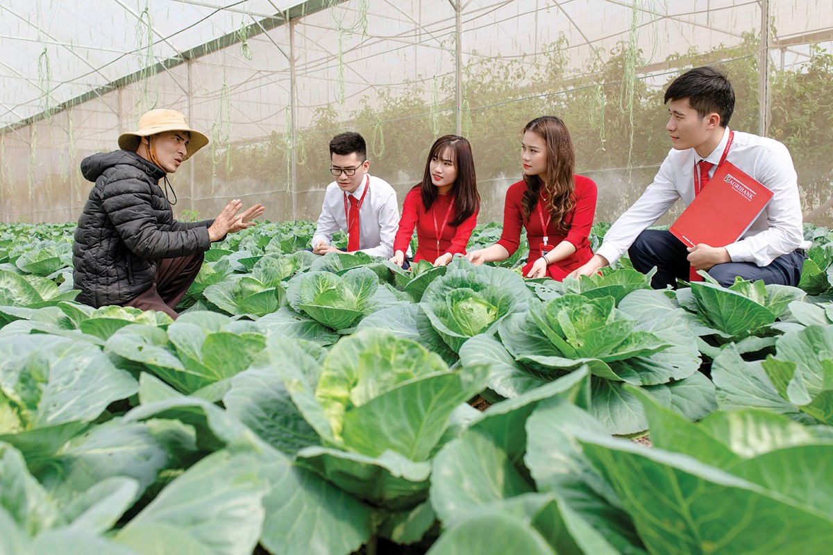 Cán bộ ngân hàng tìm hiểu nhu cầu vốn của các mô hình nông nghiệp xanh tại Thanh Hóa Cán bộ ngân hàng tìm hiểu nhu cầu vốn của các mô hình nông nghiệp xanh tại Thanh Hóa