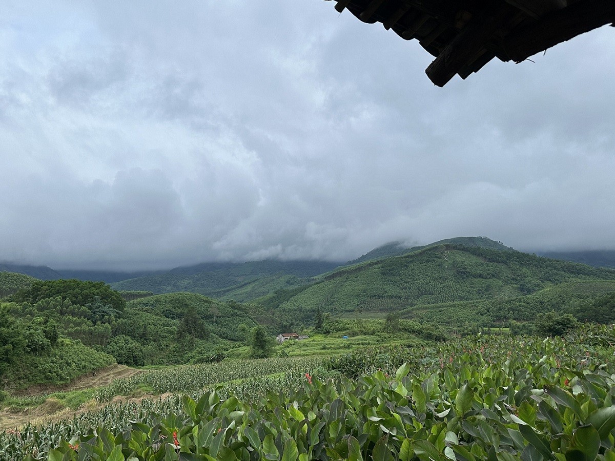 Không gian hùng vĩ của núi rừng. Ảnh: Quỳnh Nga