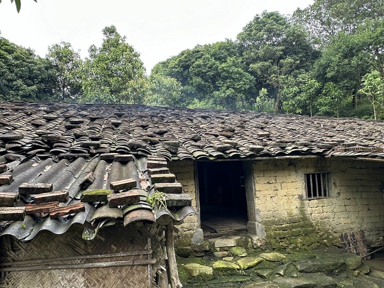 Mái ngói đặc trưng của những căn nhà người Sán Chỉ. Ảnh: Thanh Tân