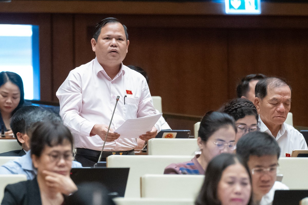 Đại biểu Nguyễn Duy Thanh (đoàn Cà Mau)