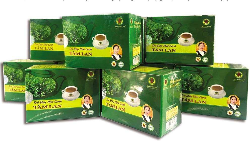 Trà dây thìa canh - một trong những sản phẩm của Công ty TNHH MTV Trà Tâm Lan