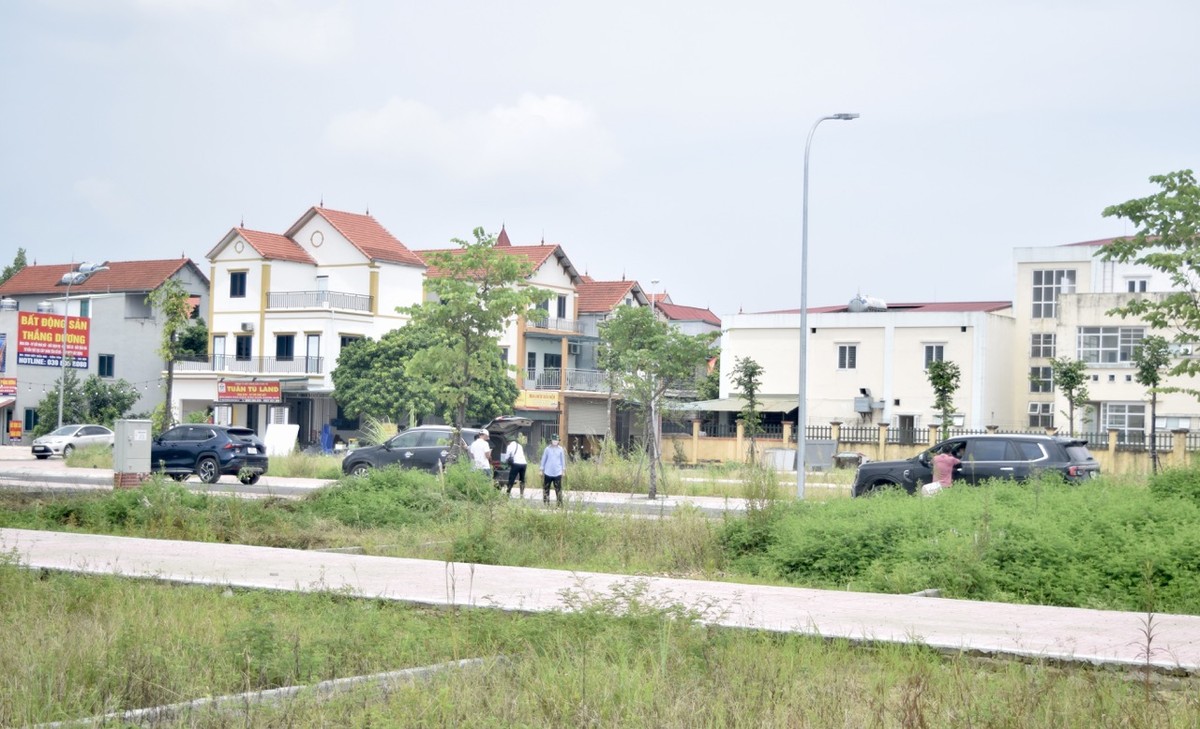 Các đoàn khách tới xem đất. Ảnh: Nhật Linh Các đoàn khách tới xem đất. Ảnh: Nhật Linh