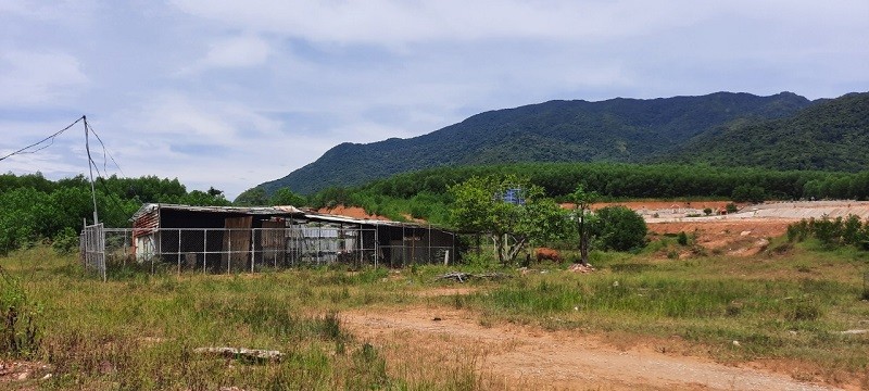 Nhà làm việc của công nhân thi công Dự án Hồ chứa nước Lộc Đại đang bỏ hoang phế, cỏ mọc um tùm, trở thành nơi cho bò gặm cỏ. Ảnh: Linh Đan