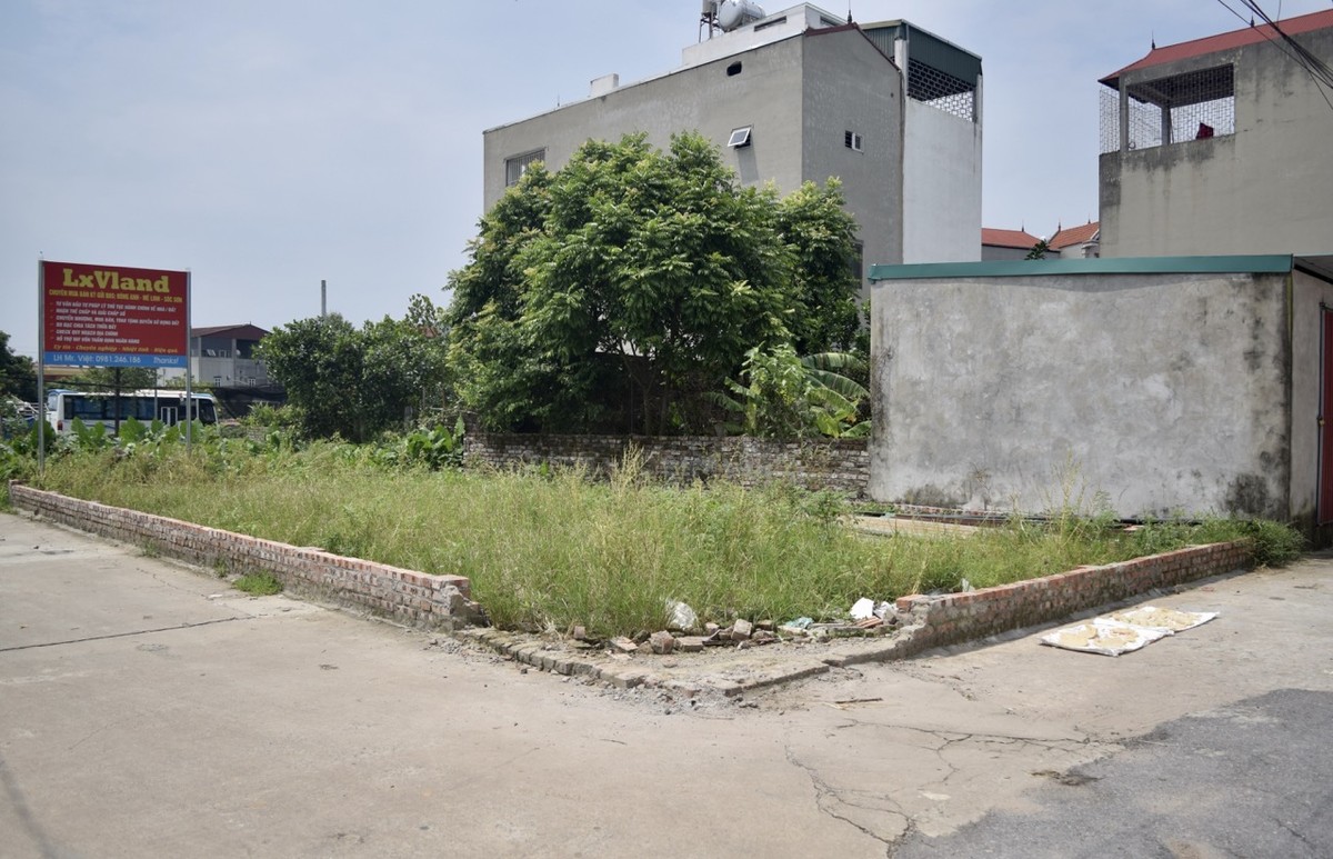 Trên hình là một lô góc cách vị trí xây cầu Tứ Liên khoảng 400 - 500 m. Trước đó 2 tuần, thửa đất này đã được giao dịch thành công và hiện đang được chủ mới rao bán với giá 185 triệu đồng/m2.