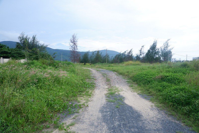 Hiện trạng bên trong dự án có đường mòn nhỏ, xung quanh cỏ mọc um tùm.