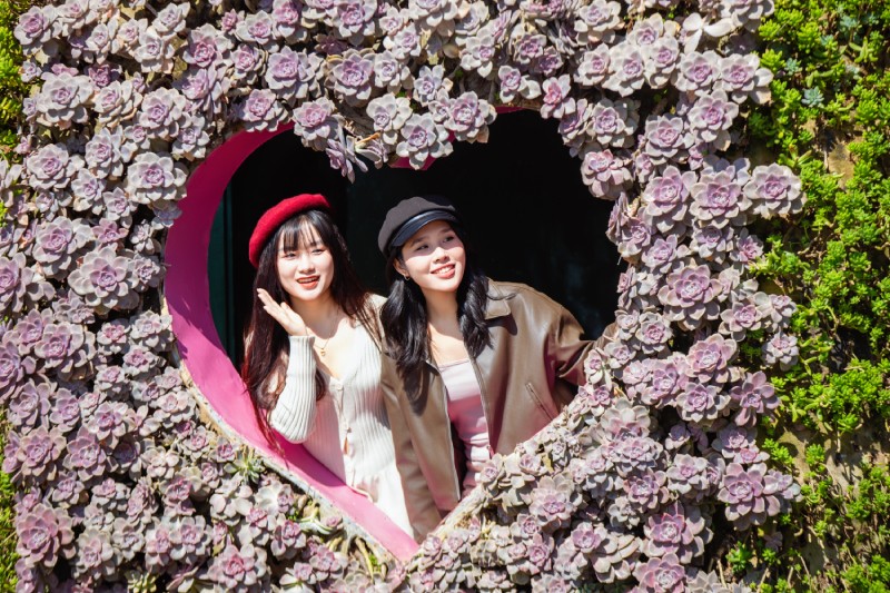 Lễ hội hoa sen đá diễn ra đến cuối năm 2024 tại khu du lịch Sun World Fansipan Legend là sự kiện mở đầu cho chuỗi chương trình kích cầu du cuối năm nay.