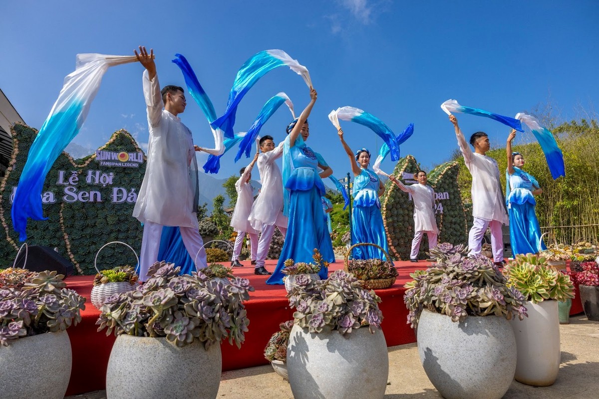 (Ảnh: Thanh Bình) (Ảnh: Thanh Bình)