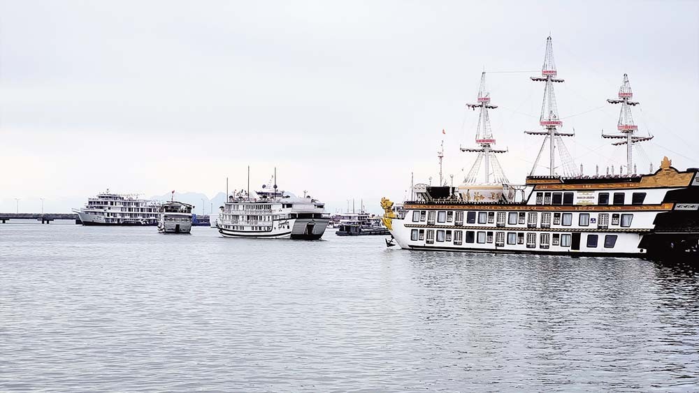 Du lịch trên vịnh Hạ Long luôn gắn với việc bảo vệ di sản thiên nhiên thế giới (Ảnh:T.Tân)