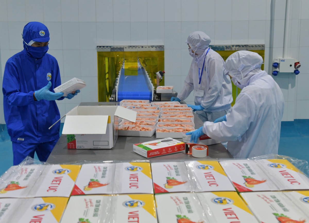 Ngành thuỷ sản nhận định, cần nghiên cứu để có một mô hình tăng trưởng mới phù hợp. (Ảnh: Lê Toàn)