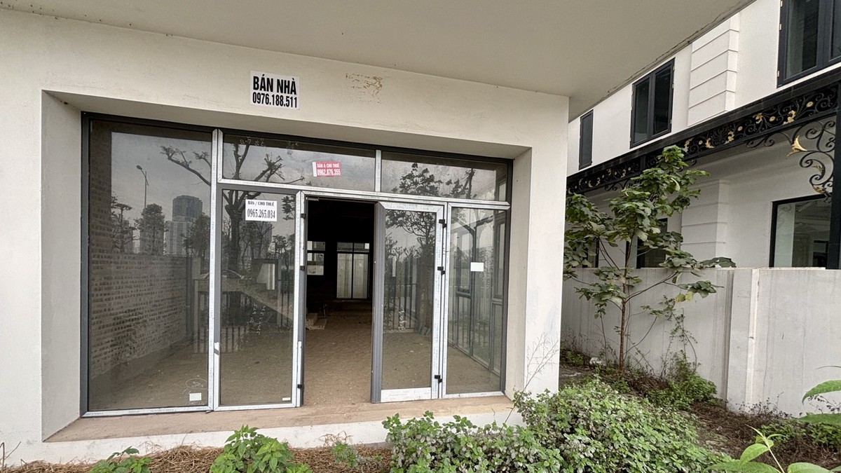 Môi giới viên cho biết, các bất động sản triệu đô này có giá thuê chỉ là 15 triệu đồng/tháng với căn thô. Ngay cả những căn đã hoàn thiện cơ bản, giá thuê cũng chỉ 25 triệu đồng/tháng.