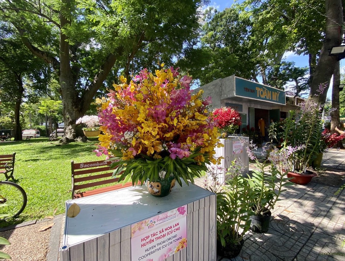 Ngoài ra, triển lãm còn có các đại cảnh, tiểu cảnh và các tiểu cảnh không gian đệm như: Đại cảnh Thành phố 50 mùa hoa, đại cảnh Non xanh nước biếc, đại cảnh Vẻ đẹp nên thơ, đại cảnh Hơi thở đại ngàn…