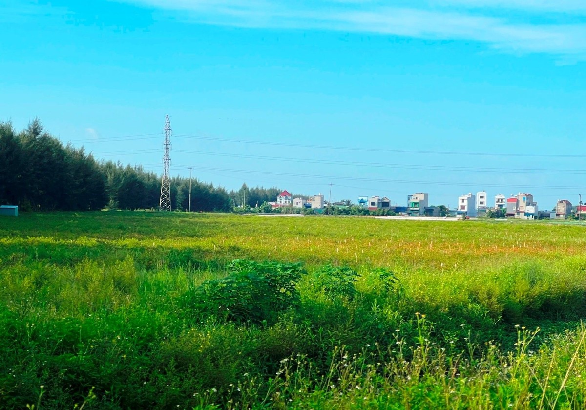 Dự án Đầu tư xây dựng Bệnh viện Quốc tế Hà Nội - Hải Dương ở huyện Ninh Giang là một trong những dự án chậm tiến độ của tỉnh. Trong ảnh: Địa điểm xây dựng Bệnh viện Quốc tế Hà Nội - Hải Dương (ảnh tư liệu) Dự án Đầu tư xây dựng Bệnh viện Quốc tế Hà Nội - Hải Dương ở huyện Ninh Giang là một trong những dự án chậm tiến độ của tỉnh. Trong ảnh: Địa điểm xây dựng Bệnh viện Quốc tế Hà Nội - Hải Dương (ảnh tư liệu)