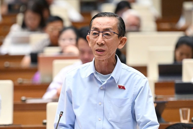 Đại biểu Trần Hoàng Ngân (TP.HCM).