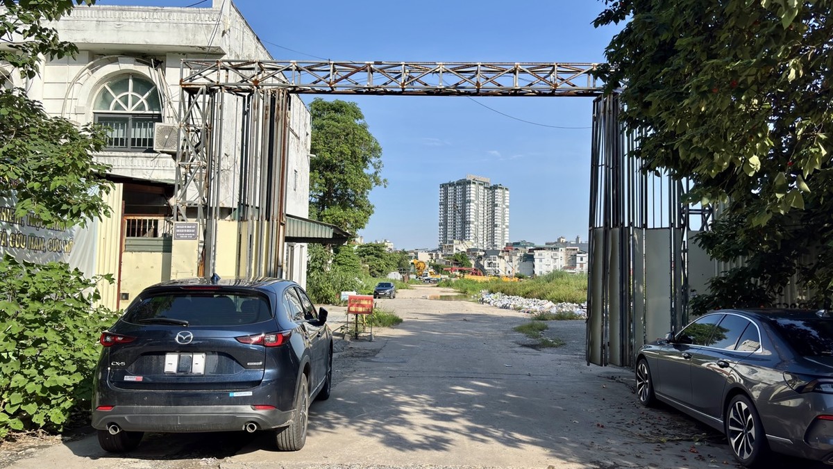 Trước đó, khu đất 233 Nguyễn Trãi là cơ sở sản xuất của Công ty Bột giặt LIX. Còn với khu số 233B, đây từng là nơi đặt nhà máy của Công ty Xà phòng Hà Nội. Hiện hai doanh nghiệp này đều đã hoàn tất việc di dời cơ sở sản xuất. Trước đó, khu đất 233 Nguyễn Trãi là cơ sở sản xuất của Công ty Bột giặt LIX. Còn với khu số 233B, đây từng là nơi đặt nhà máy của Công ty Xà phòng Hà Nội. Hiện hai doanh nghiệp này đều đã hoàn tất việc di dời cơ sở sản xuất.