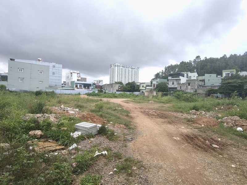 Bên trong khu đất số 1006 Trần Hưng Đạo, phường Quy Nhơn, tỉnh Gia Lai (trước đây là phường Đống Đa, TP. Quy Nhơn, tỉnh Bình Định). Ảnh chụp tháng 11/2024.