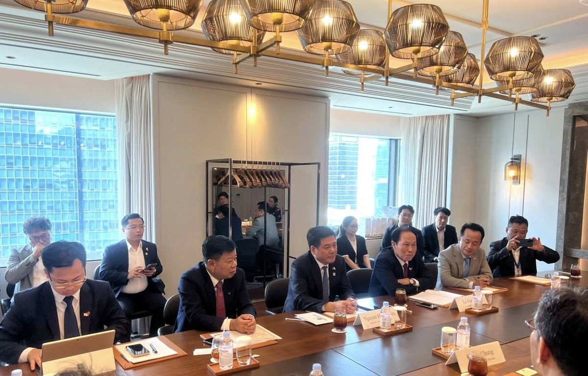 Trong khuôn khổ chuyến công tác tại Hàn Quốc, Đoàn đại biểu thành phố Hải Phòng đã làm việc với Tập đoàn HD Hyundai Heavy Industries. Ảnh: HEZA