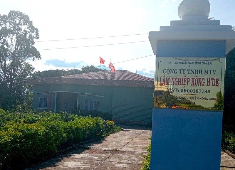 Công ty TNHH MTV Lâm nghiệp Kông H’de có khoản công nợ phải trả số tiền hơn 221 triệu đồng tồn đọng từ nhiều năm trước và chưa được thanh toán, đồng thời có nợ phải thu khó đòi là hơn 347 triệu đồng. Ảnh: T.L.