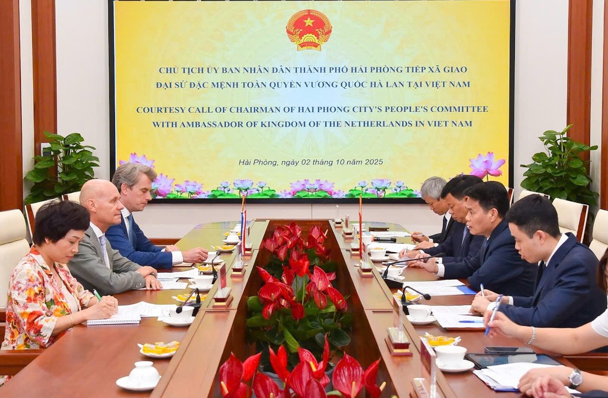 Quang cảnh buổi làm việc.