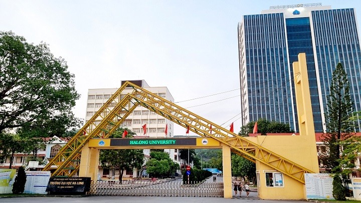 Nghiên cứu sắp xếp, tái cơ cấu Trường Đại học Hạ Long thuộc UBND tỉnh Quảng Ninh và Trường Đại học Công nghiệp Quảng Ninh thuộc Bộ Công Thương thành 1 trường đại học đa ngành, đa lĩnh vực trực thuộc tỉnh. Ảnh: Quỳnh Nga