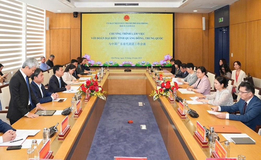 Toàn cảnh cuộc làm việc.