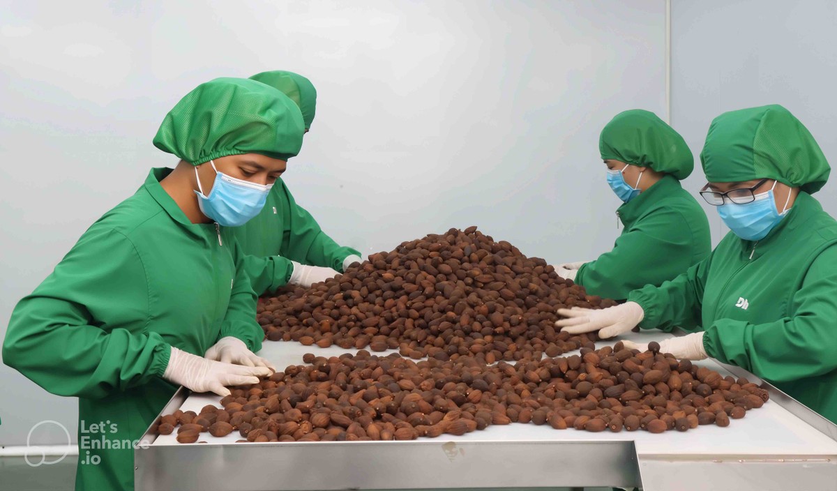 Thương mại điện tử xuyên biên giới buộc doanh nghiệp phải thay đổi tư duy quản trị, đầu tư bài bản vào công nghệ và logistics.