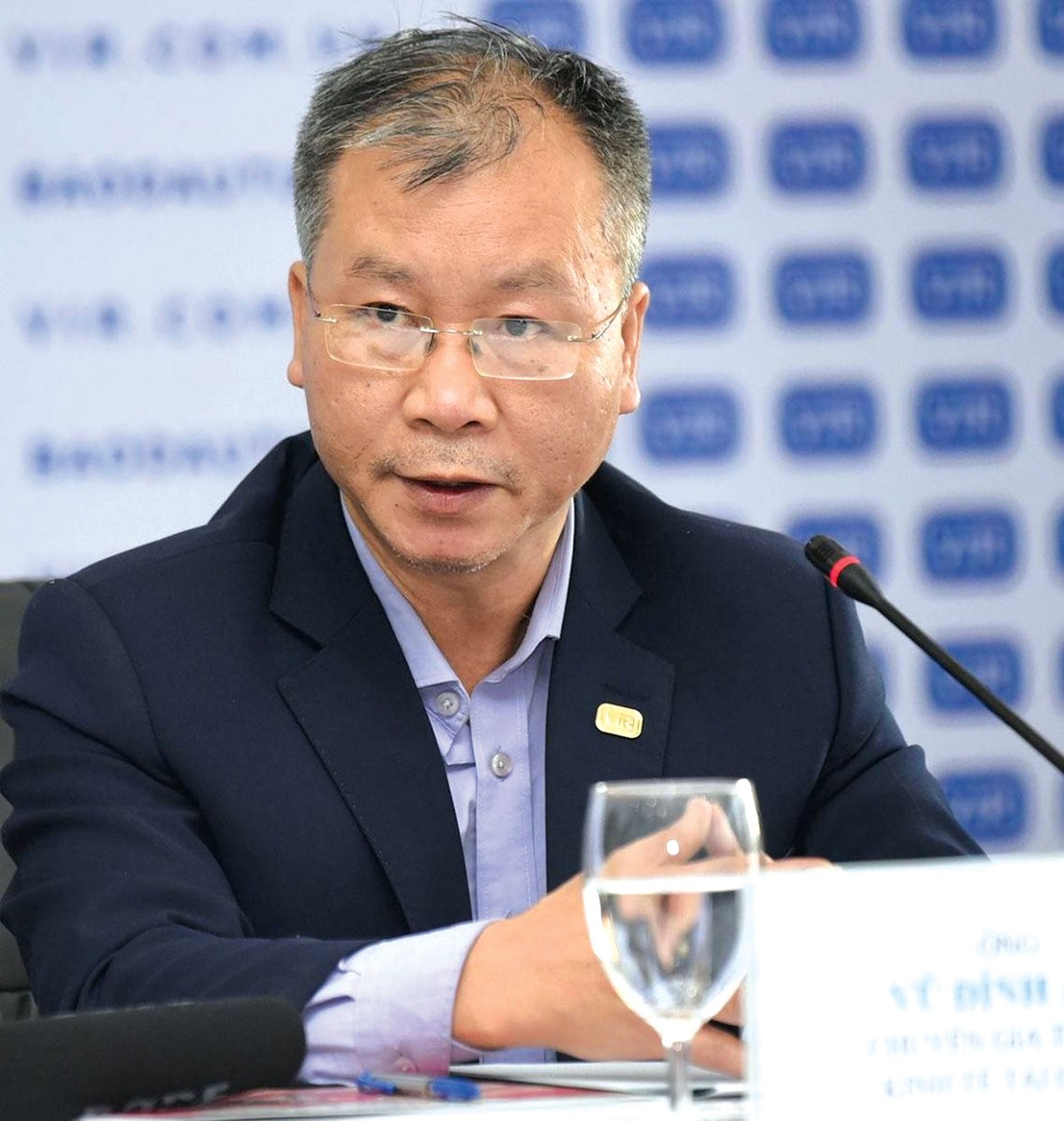 TS.Vũ Đình Ánh, Chuyên gia kinh tế