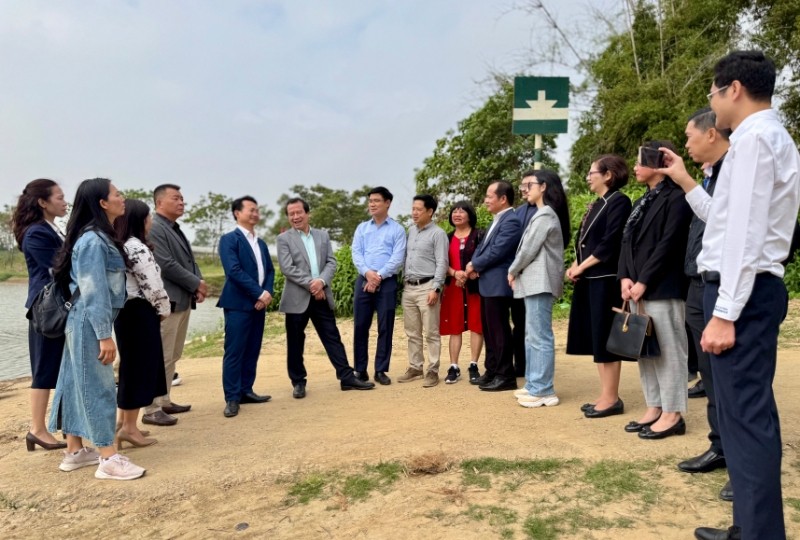 Các đại biểu khảo sát sông Cà Lồ.