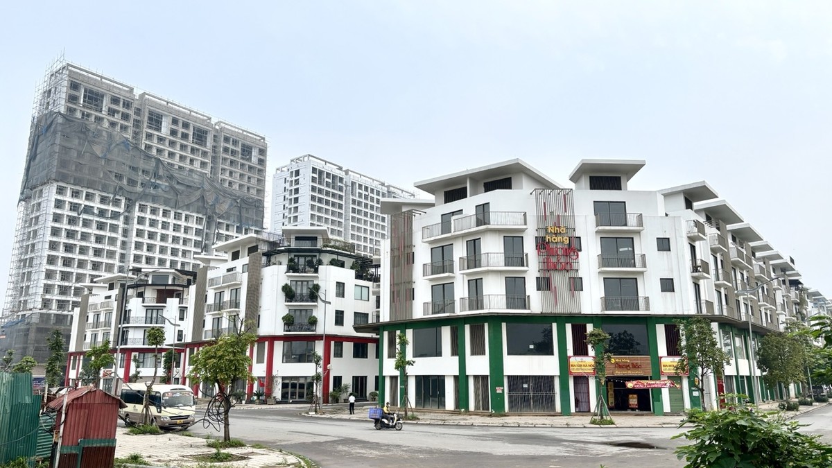 Việc minh bạch hoá dữ liệu đầu vào là cơ sở để Nhà nước triển khai các chính sách điều tiết thị trường. Ảnh: Thanh Vũ