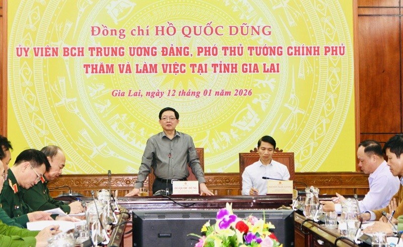 Phó Thủ tướng Hồ Quốc Dũng phát biểu kết luận liên quan đến tình hình triển khai "Chiến dịch Quang Trung" tại tỉnh Gia Lai. Ảnh: Ngọc Minh.
