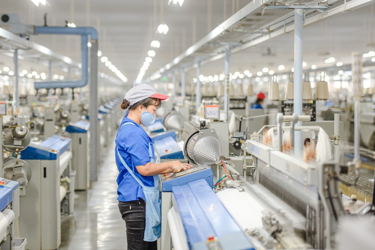 Ngành dệt may được nhận định sẽ chịu áp lực do phụ thuộc vào thị trường Mỹ và có độ nhạy cảm với thuế quan.
