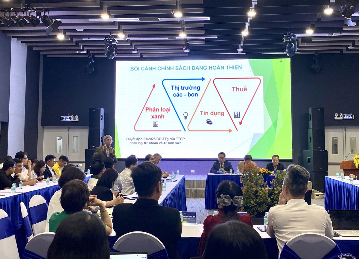 Ông Phạm Bình An, Phó Viện trưởng Viện Nghiên cứu Phát triển TP.HCM chia sẻ tại hội thảo.