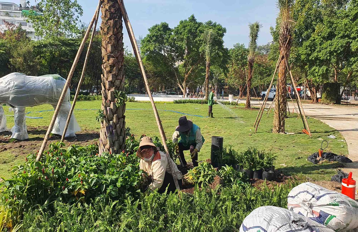 Công nhân đang trồng những mảng xanh sáng 21/1.
