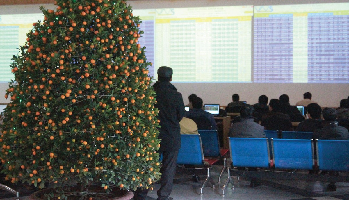 Mùa xuân dài hạn của thị trường chứng khoán bắt đầu từ chính sự bình tĩnh, chắt lọc và kiên định của nhà đầu tư