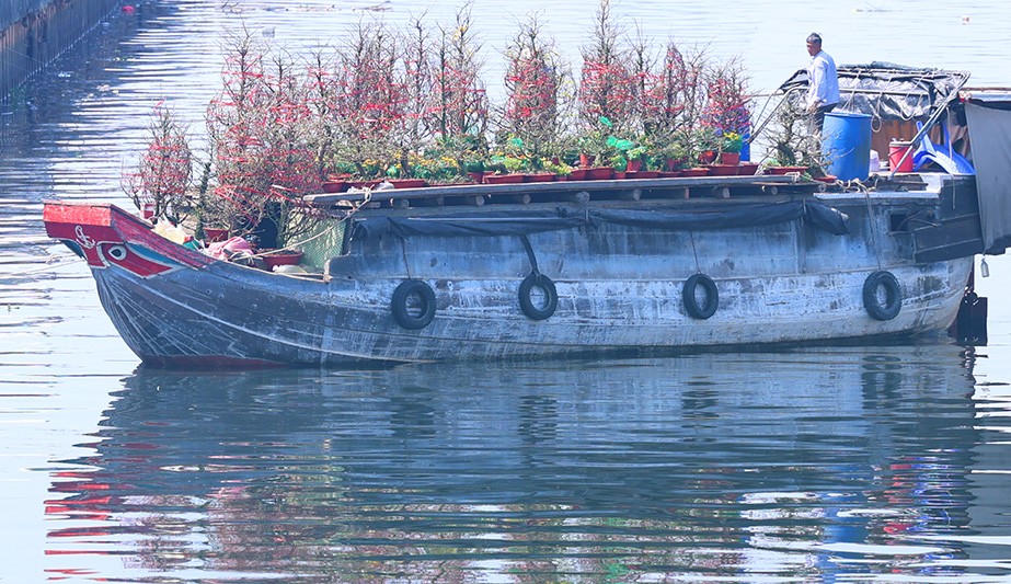 Thuyền hoa từ các tỉnh miền Tây đang đưa hoa cập bến Bình Đông.