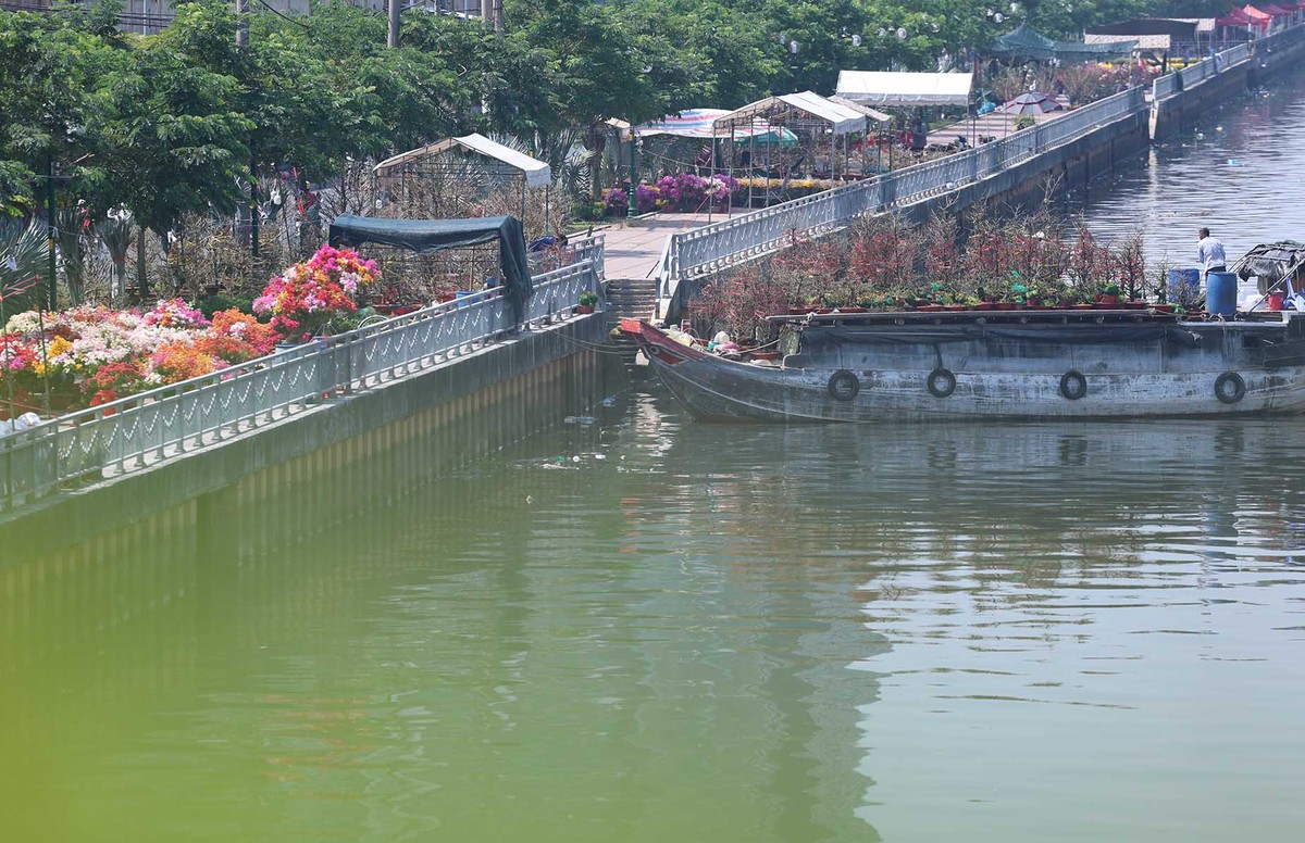 Không gian chợ tái hiện sinh hoạt mua bán hoa Xuân trên sông nước Nam Bộ.