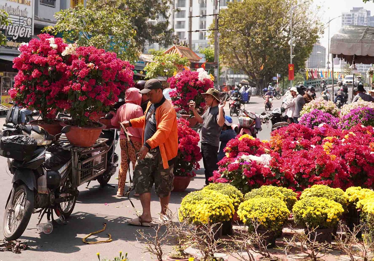 Nhộn nhịp hoa Xuân Trên bến dưới thuyền 2026.