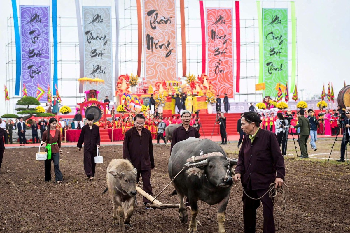 Ủy viên Trung ương Đảng, Bí thư Tỉnh ủy tỉnh Ninh Bình Đặng Xuân Phong tham gia nghi thức cày ruộng. Ảnh: Minh Đường Ủy viên Trung ương Đảng, Bí thư Tỉnh ủy tỉnh Ninh Bình Đặng Xuân Phong tham gia nghi thức cày ruộng. Ảnh: Minh Đường