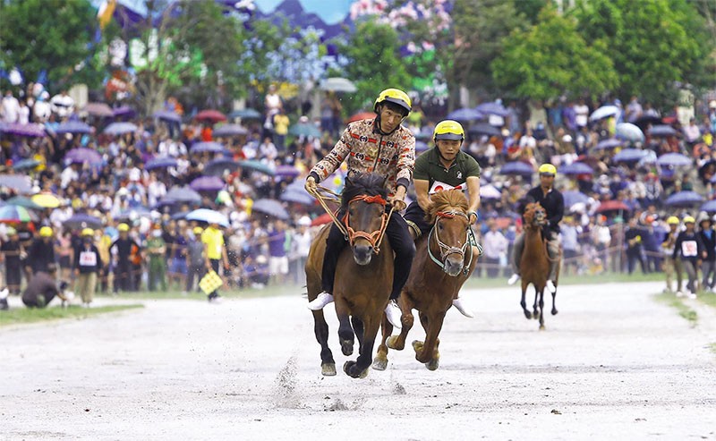 Lễ hội đua ngựa ở Bắc Hà (Lào Cai). Ảnh: Đức Thanh