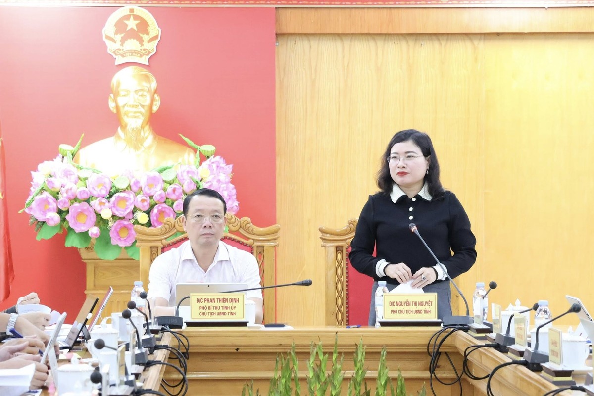 Phó Chủ tịch UBND tỉnh Nguyễn Thị Nguyệt phát biểu