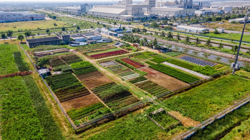 Vườn ươm cây xanh được tưới tiêu từ nguồn nước của nhà máy xử lý nước thải chuẩn ISO 9001&amp;14001, cung cấp cây xanh cho toàn khu công nghiệp DEEP C.