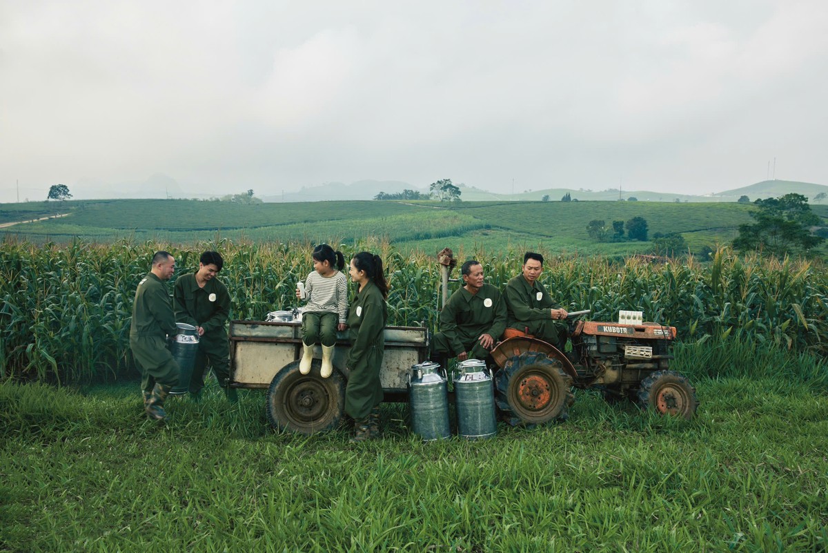 Bứt phá ngay từ Quý I/2026, Mộc Châu Milk khẳng định hiệu quả từ chiến lược tối ưu vận hành.